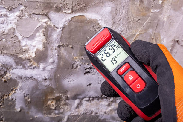 Best Attic Mold Removal  in Butler, AL