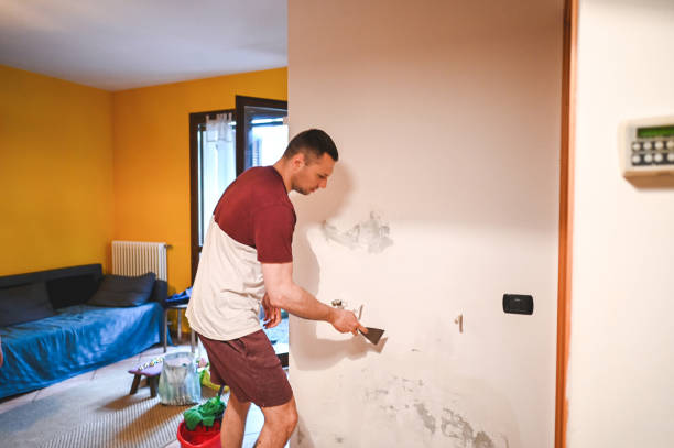 Office Mold Removal Services in Butler, AL